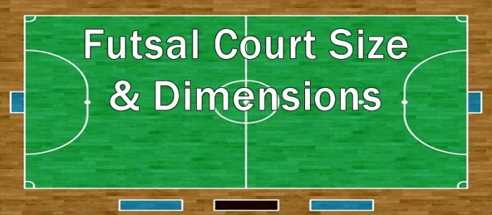 Futsal size court