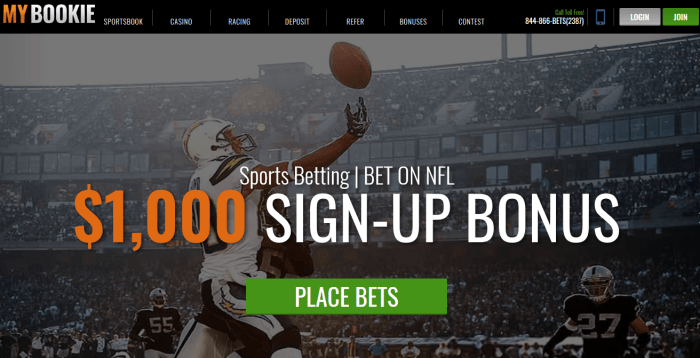 Nfl betting